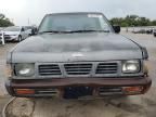 1993 Nissan Truck Short Wheelbase