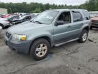 2006 Ford Escape XLT