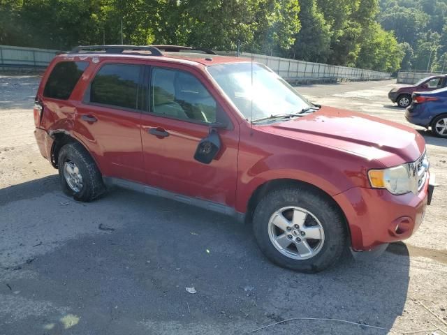 2011 Ford Escape XLT