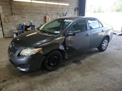 Salvage cars for sale from Copart Angola, NY: 2010 Toyota Corolla Base