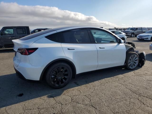 2020 Tesla Model Y