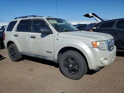 Salvage cars for sale at Brighton, CO auction: 2008 Ford Escape XLT