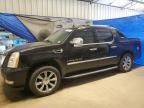 2007 Cadillac Escalade EXT