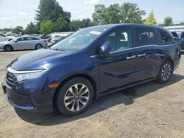 2021 Honda Odyssey EXL