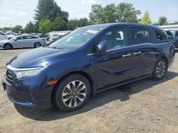 Salvage cars for sale from Copart Finksburg, MD: 2021 Honda Odyssey EXL