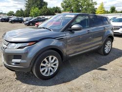 Land Rover salvage cars for sale: 2015 Land Rover Range Rover Evoque Pure