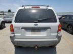 2002 Ford Escape XLT