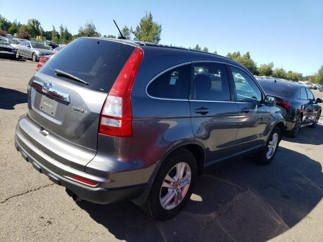 2010 Honda CR-V EXL