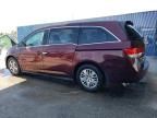 2014 Honda Odyssey LX