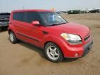 2010 KIA Soul +