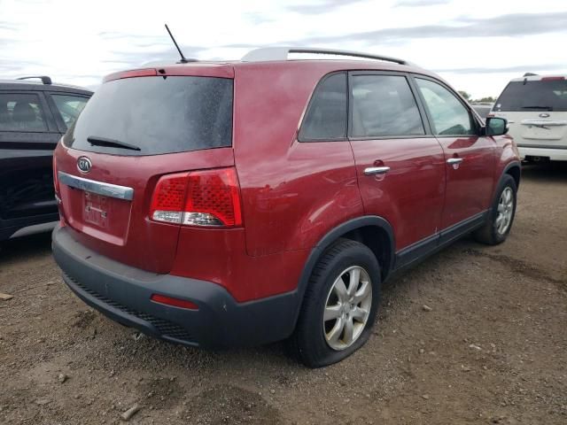 2011 KIA Sorento Base