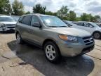 2007 Hyundai Santa FE SE