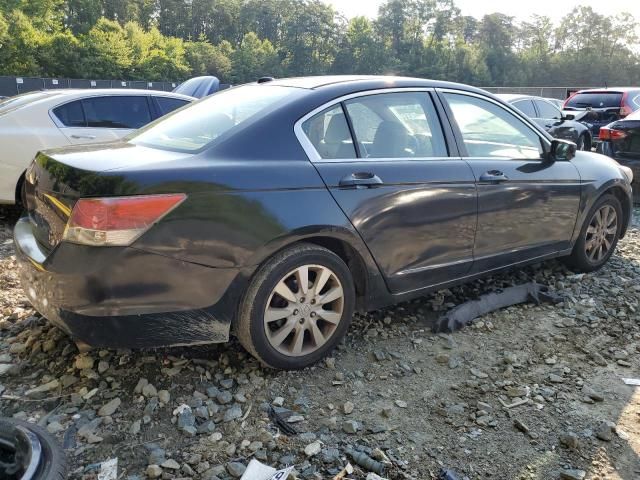 2010 Honda Accord EXL