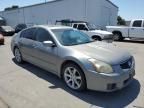 2007 Nissan Maxima SE