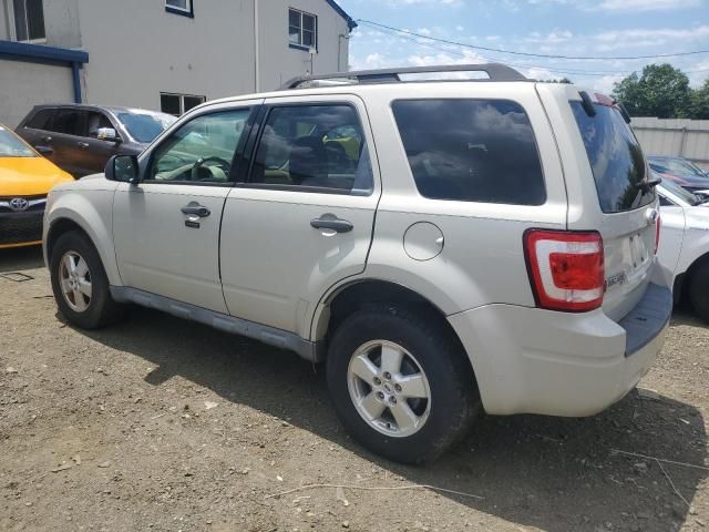 2009 Ford Escape XLT