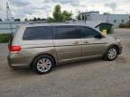 2010 Honda Odyssey EXL