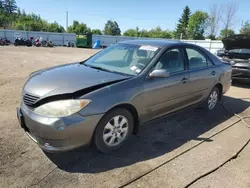 Toyota Vehiculos salvage en venta: 2005 Toyota Camry LE