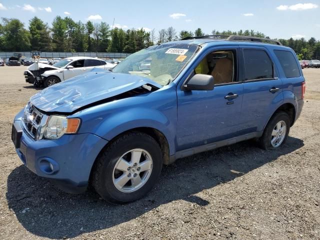 2009 Ford Escape XLT