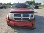 2008 Dodge Nitro SLT