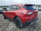 2020 Ford Escape SE Sport