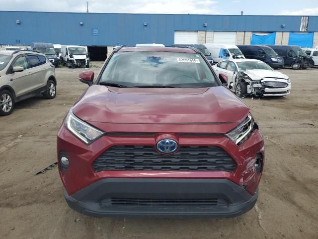 2021 Toyota Rav4 XLE Premium