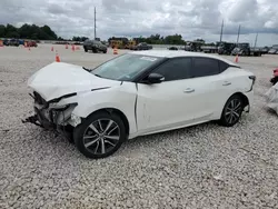 Salvage cars for sale at Taylor, TX auction: 2019 Nissan Maxima S