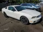 2011 Ford Mustang