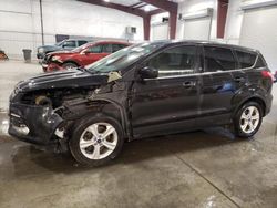 Salvage cars for sale from Copart Avon, MN: 2014 Ford Escape SE