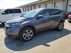 Honda salvage cars for sale: 2019 Honda CR-V EX