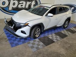 Salvage cars for sale at Lebanon, TN auction: 2024 Hyundai Tucson SEL