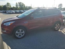 Salvage cars for sale at Bridgeton, MO auction: 2014 Ford Escape SE