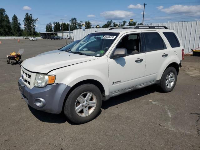 2009 Ford Escape Hybrid