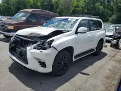 Lexus salvage cars for sale: 2023 Lexus GX 460