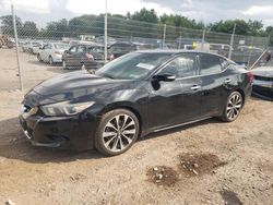 Salvage cars for sale from Copart Chalfont, PA: 2016 Nissan Maxima 3.5S