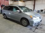 2008 Honda Odyssey EXL