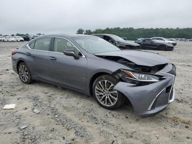 2019 Lexus ES 300H