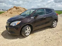 Salvage cars for sale at Taylor, TX auction: 2015 Buick Encore