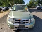 2008 Ford Escape HEV