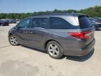 2019 Honda Odyssey EXL