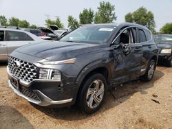 Salvage cars for sale at Elgin, IL auction: 2022 Hyundai Santa FE SEL