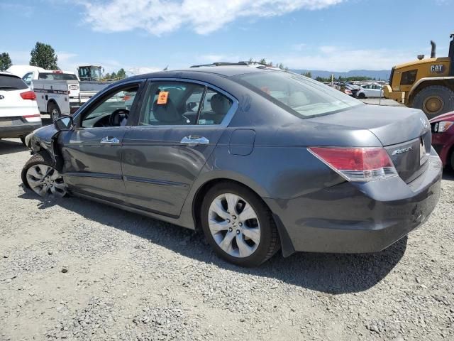 2009 Honda Accord EXL