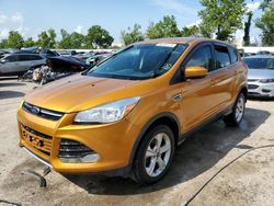 Salvage cars for sale at Bridgeton, MO auction: 2016 Ford Escape SE