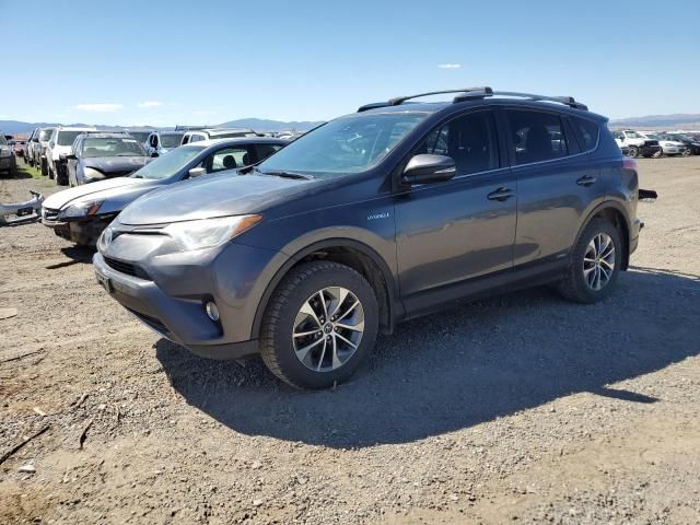 2016 Toyota Rav4 HV XLE