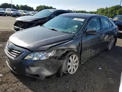 Toyota Camry Base salvage cars for sale: 2009 Toyota Camry Base