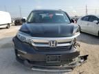 2019 Honda Pilot EXL