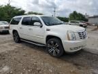 2009 Cadillac Escalade ESV Luxury