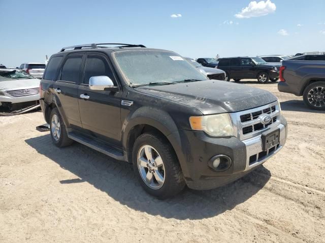 2011 Ford Escape Limited