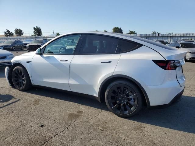 2020 Tesla Model Y