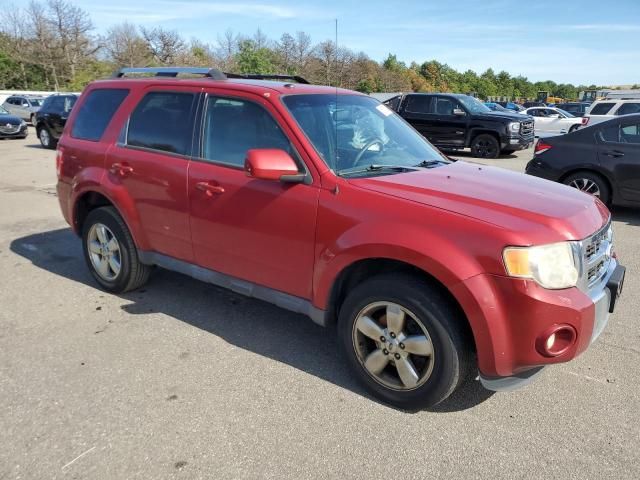 2011 Ford Escape Limited