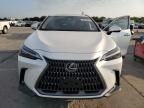 2024 Lexus NX 350H Base